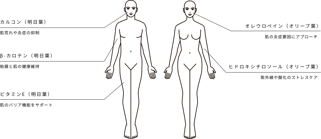 からだ・めぐみ