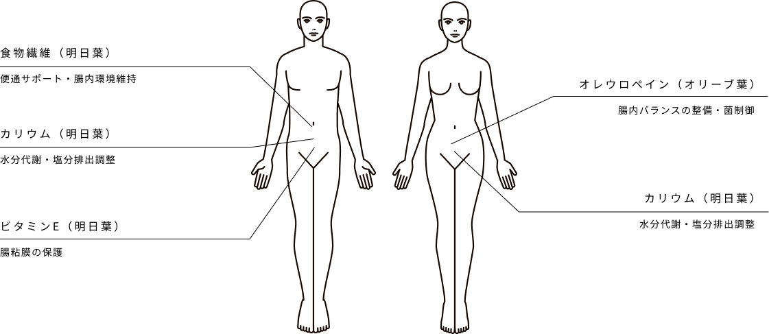 おなか・すっきり