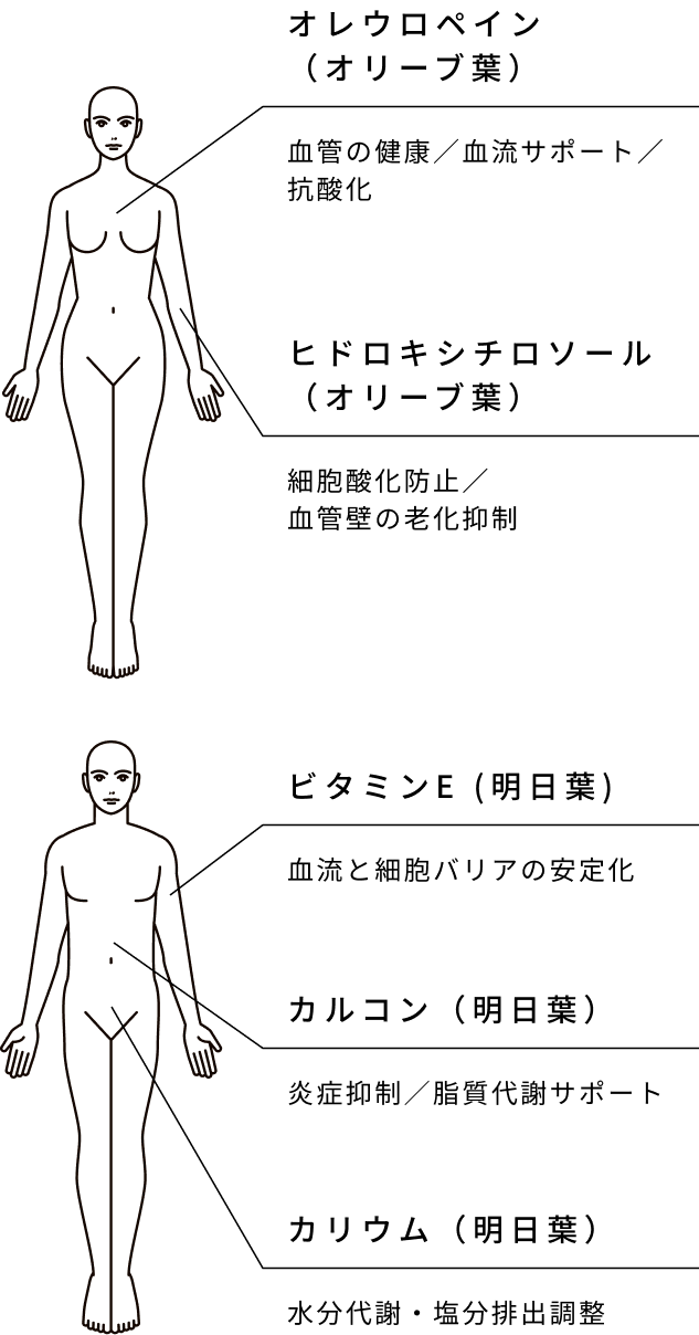 巡り・ととのえ