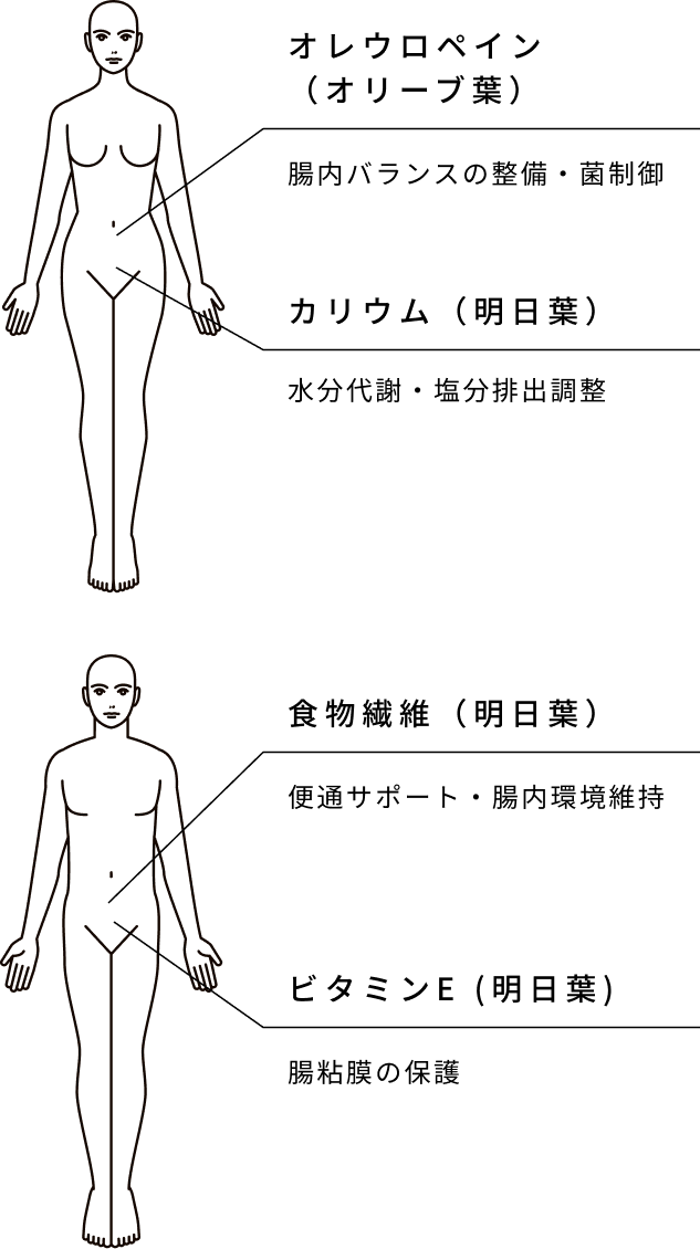 おなか・すっきり