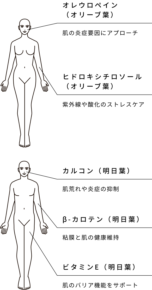 からだ・めぐみ