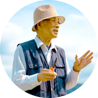 明日葉のアイコン